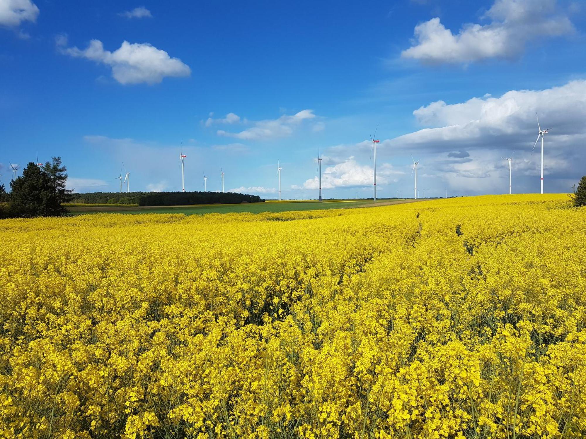 Ferienhaus Uckermark Casekow エクステリア 写真