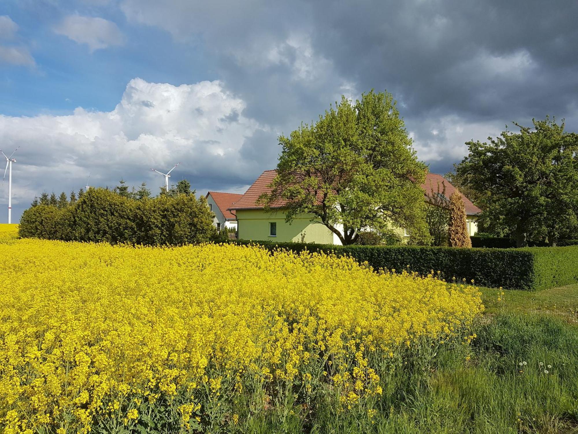 Ferienhaus Uckermark Casekow エクステリア 写真